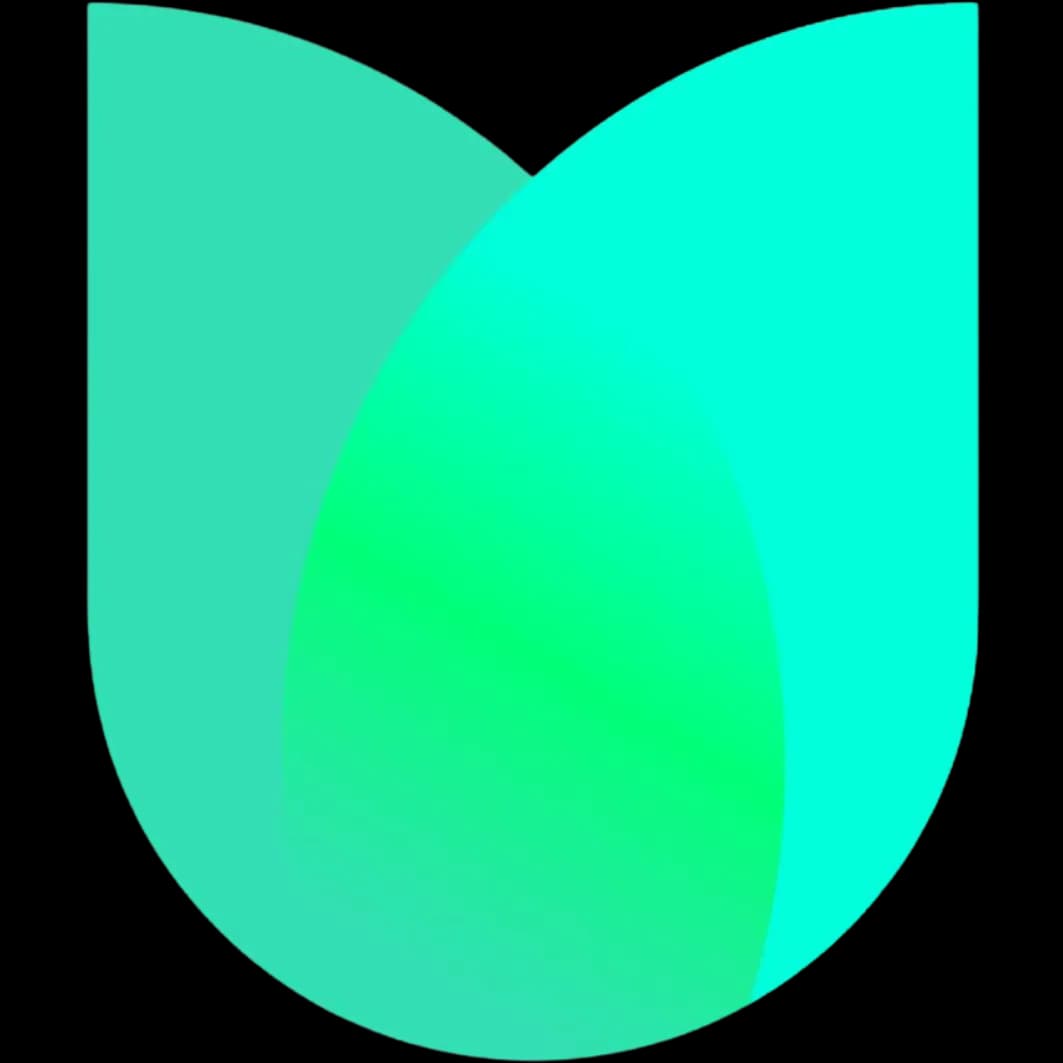Meet Tulip Logo
